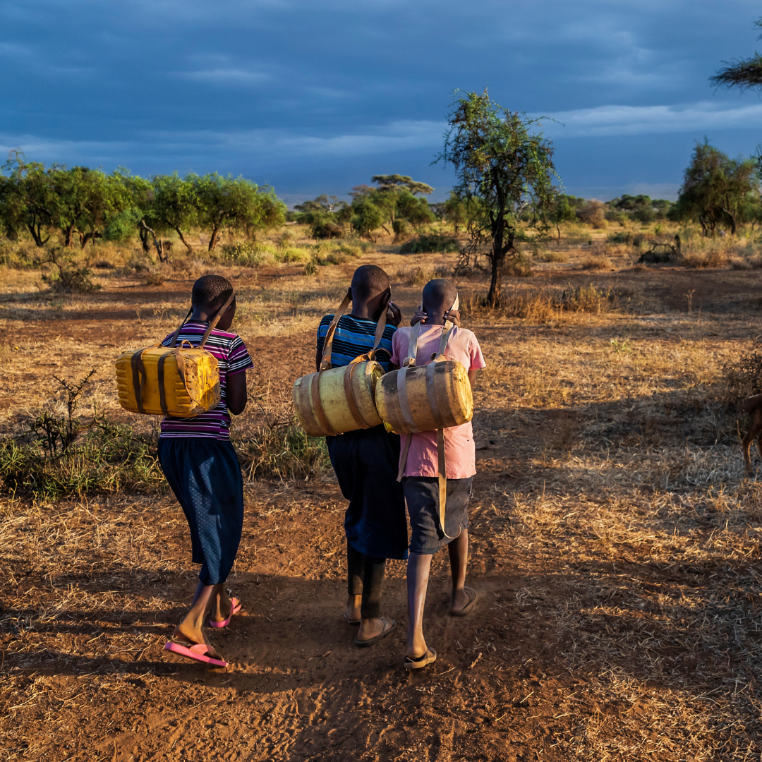 Girls in Africa gather water for their families.